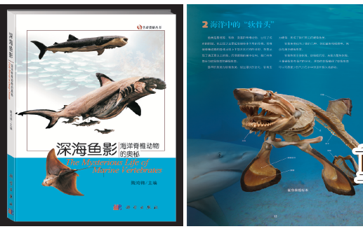 1527149066526710.png 1527145916(1).png