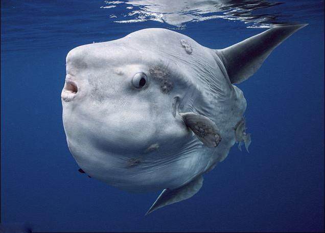 1573109827887555.jpg IMG_1525.JPG