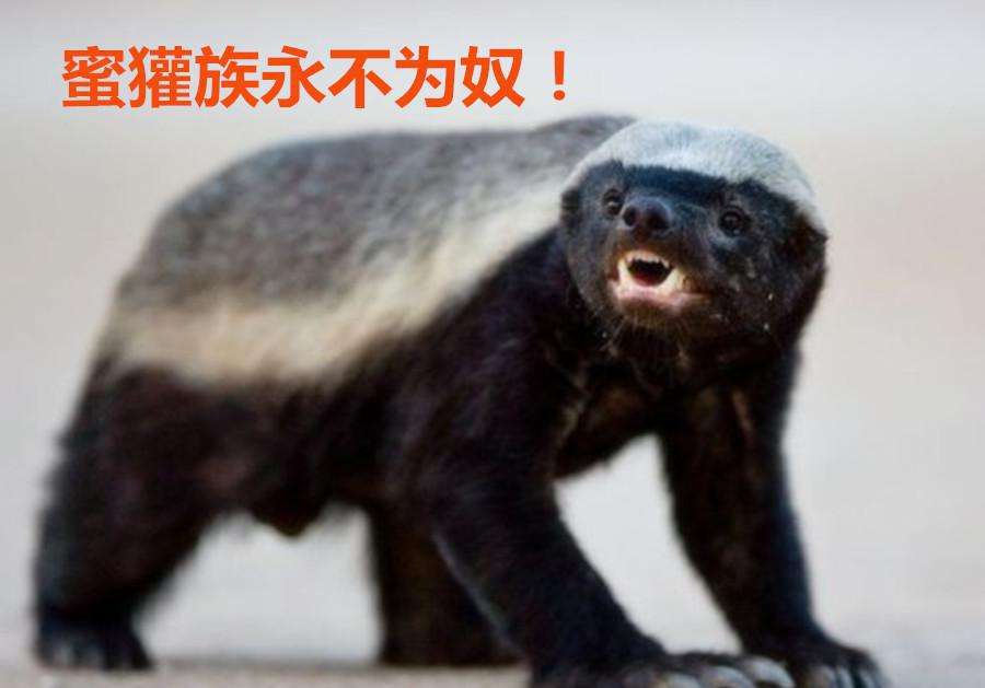 1575599032355795.jpg 0.jpg