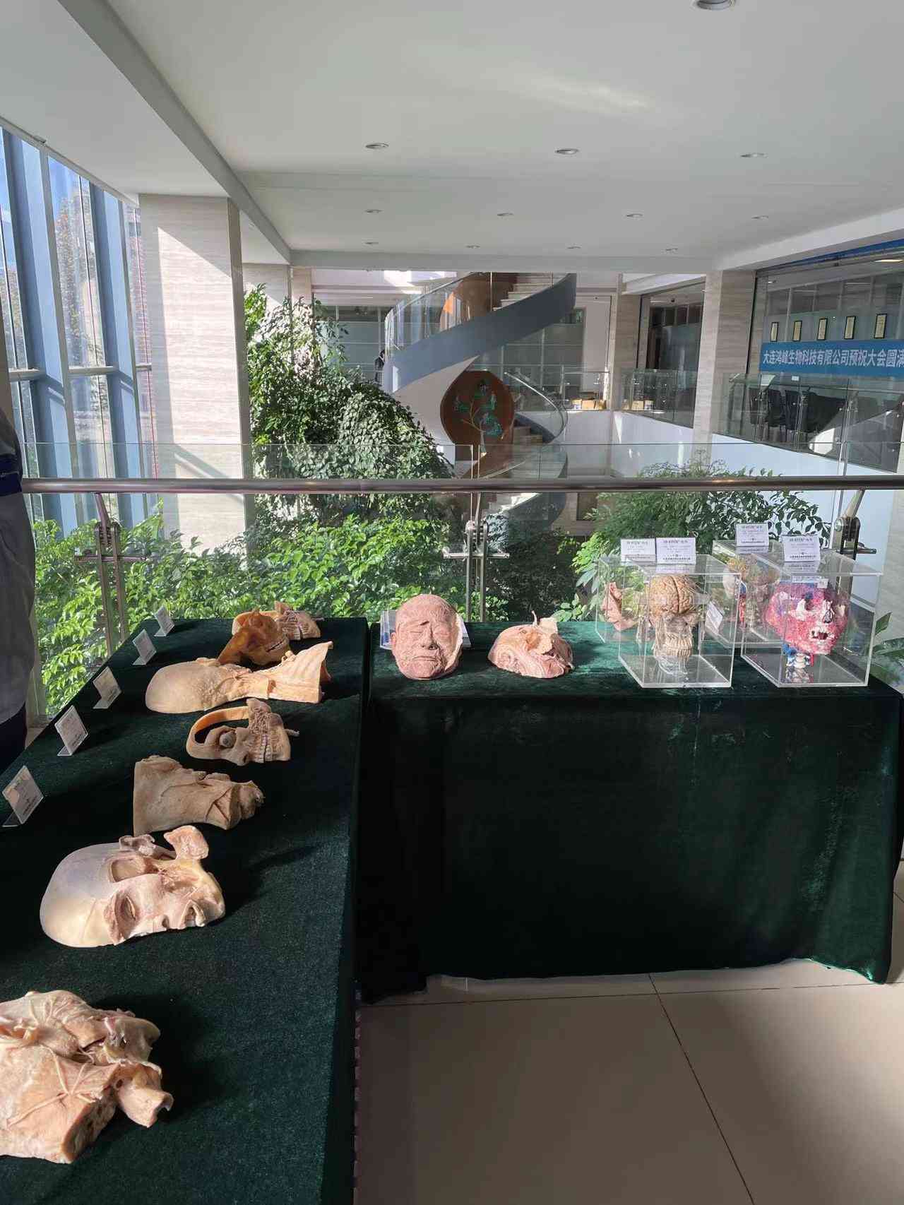 1692246206118479.jpg 微信圖片_20230816083459.jpg